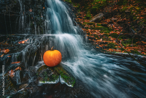 Pumpkin in waterfall