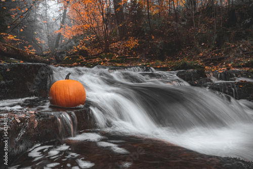 Pumpkin at waterfall in autumn