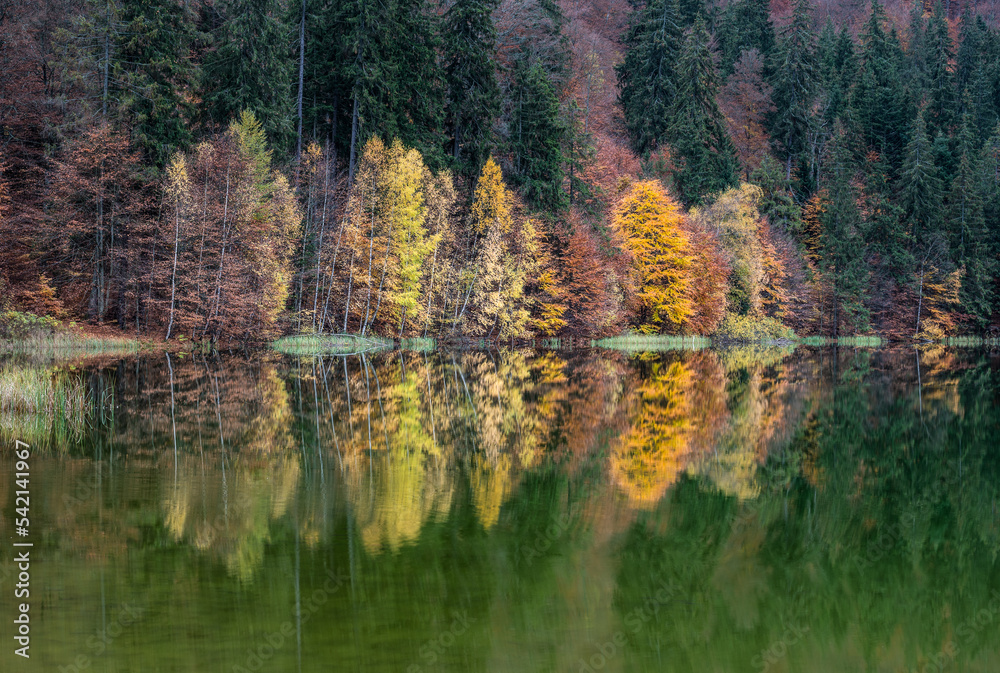 Obraz premium Saint Anna lake – the unique volcanic lake in Romania
