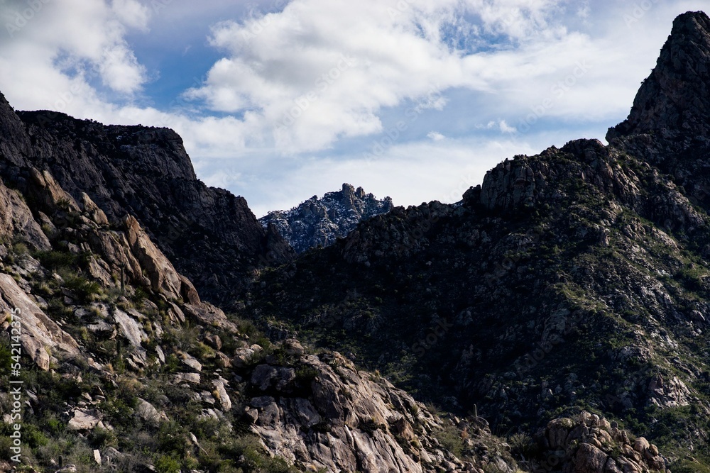 Scenic view of the landscape of the Catalina State Park in Arizona, USA