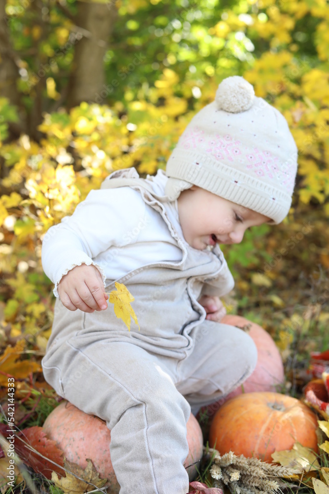 child playing with autumn leaves child playing with autumn leaves