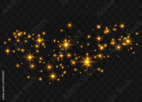 The dust sparks and golden stars shine with special light. Beautiful light flashes. Sparkling magical dust particles. Vector illustration.