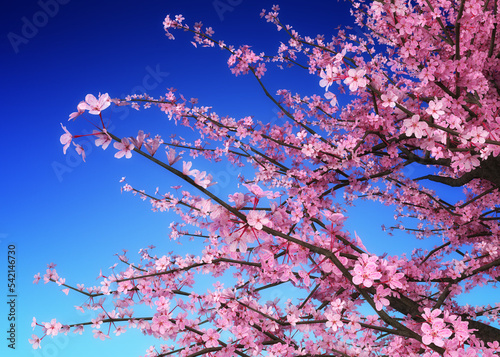 3D Sakura branches over blue