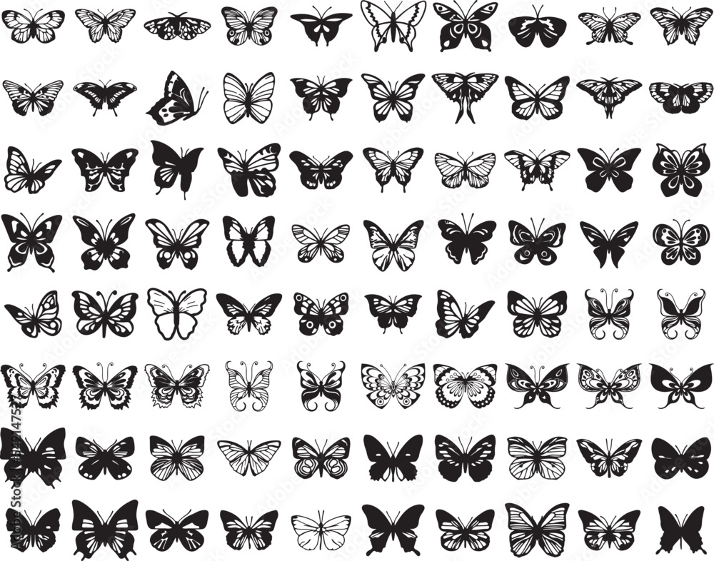 Butterfly Butterfly