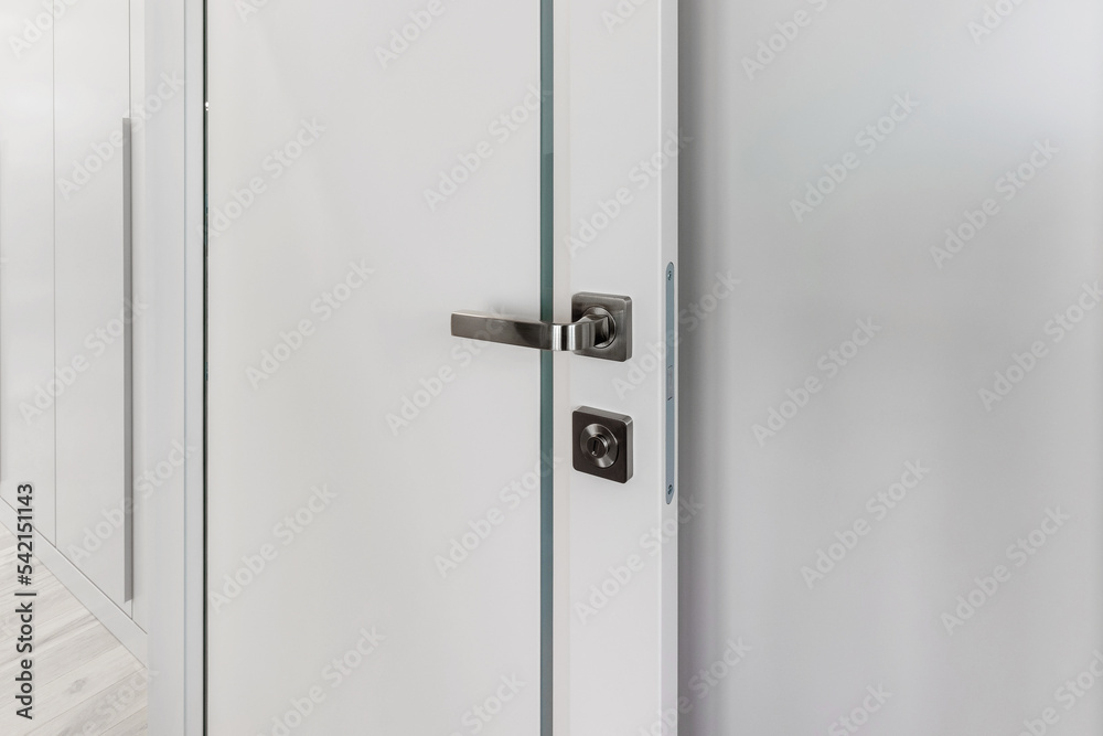 Interior and entrance doors in the new apartment. Interior and entrance doors in the new apartment.