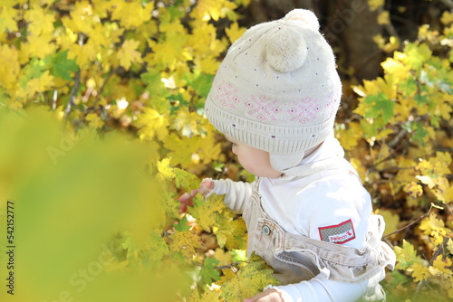 little girl in in autumn park