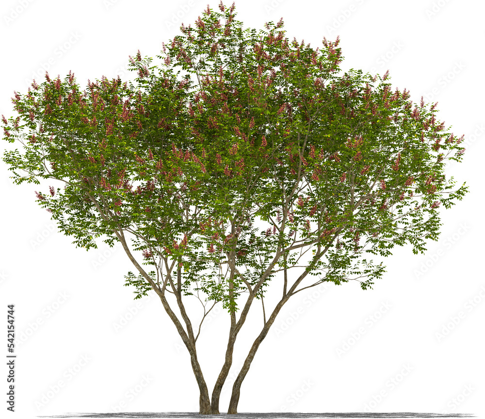 tree fake indigo plant high quality cutout tree for arch viz