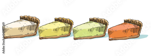 different flavours set cheesecake vector drawing dessert sweet illustration sugar food isolated on white background