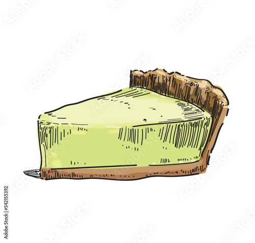 lime cheesecake vector drawing dessert sweet illustration sugar food isolated on white background
