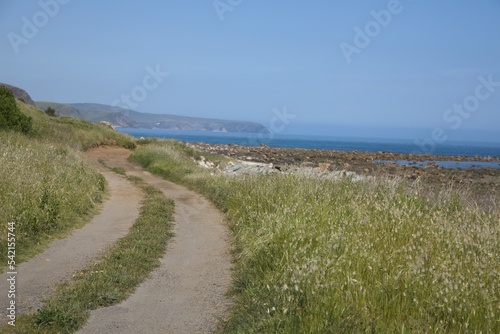 Fototapeta Naklejka Na Ścianę i Meble -  path to the beach