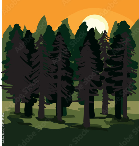 sun fall down sunset over forest horizont over trees sunrise forest landscape road view nature vector illustration sun