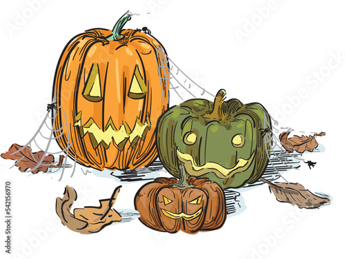 jakc o lantern pumpkin crawing Hand-Drawn halloween spooky decoration spider webs tradition Autumn october Pumpkins different typesIllustration isolated on white background