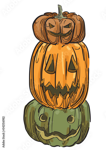 jakc o lantern pumpkin crawing Hand-Drawn halloween spooky decoration tradition Autumn october Pumpkins different typesIllustration isolated on white background