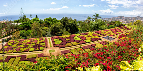 Fototapeta Naklejka Na Ścianę i Meble -  Flowers and plants in botanical garden of Funchal panorama on Madeira island in Portugal