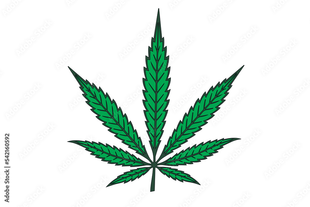 Various glass bottles with CBD oil, THC tincture and hemp leaves on a marble background. Flat lay, minimalism. Cosmetics CBD oil. Various glass bottles with CBD oil, THC tincture and hemp leaves on a marble background. Flat lay, minimalism. Cosmetics CBD oil.