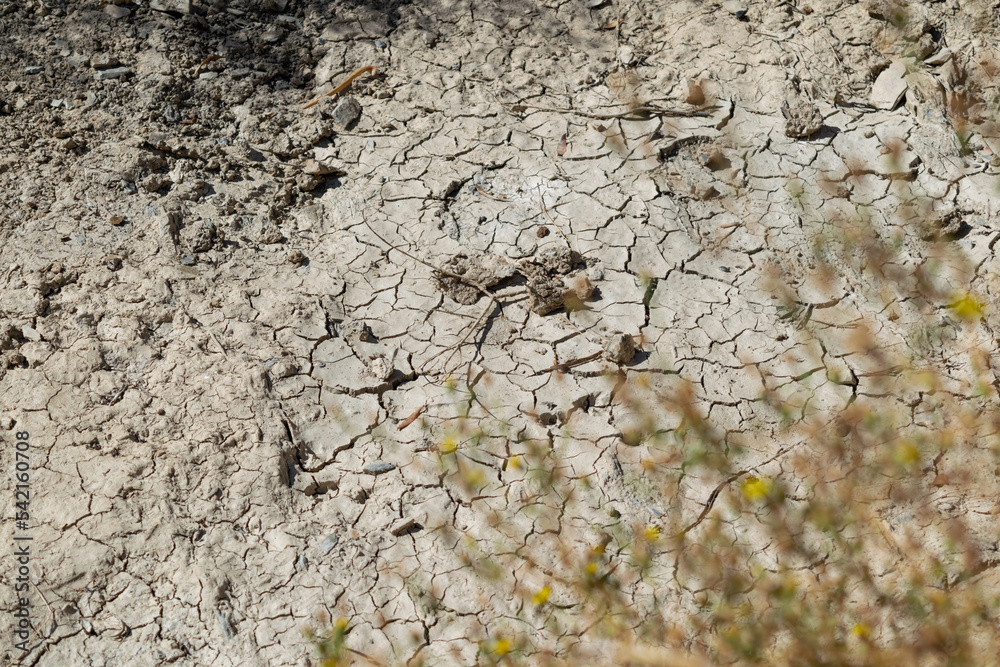 terreno de tierra desquebrajado por la sequía en otoño terreno de tierra desquebrajado por la sequía en otoño