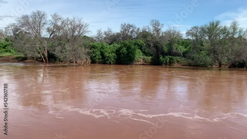 Beautiful shot of Luvuvhu river in flood with trees and blue cloudy sky in Limpopo province, Africa photo