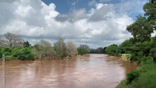 Beautiful shot of Luvuvhu river in flood with trees and blue cloudy sky in Limpopo province, Africa photo