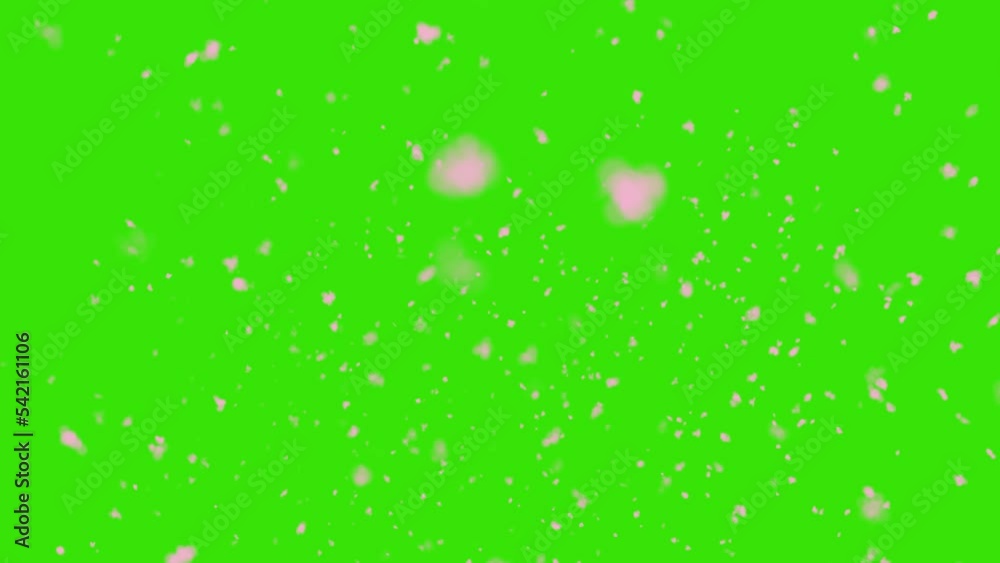 Isolated pink snow falling on green screen Isolated pink snow falling on green screen