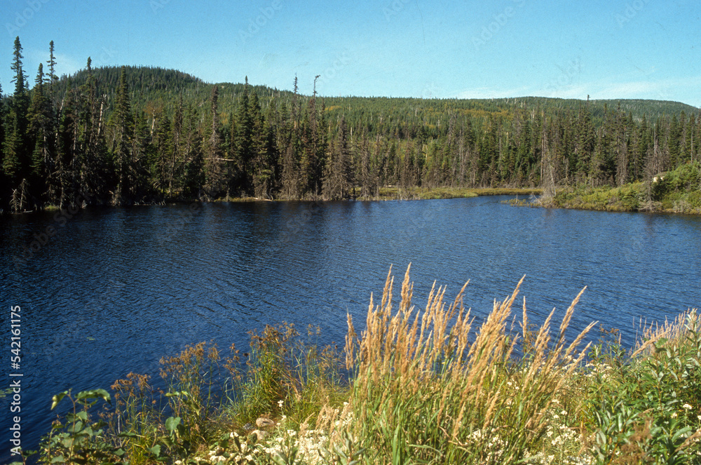 Obraz premium Reserve Des Laurentides, Quebec , Canada