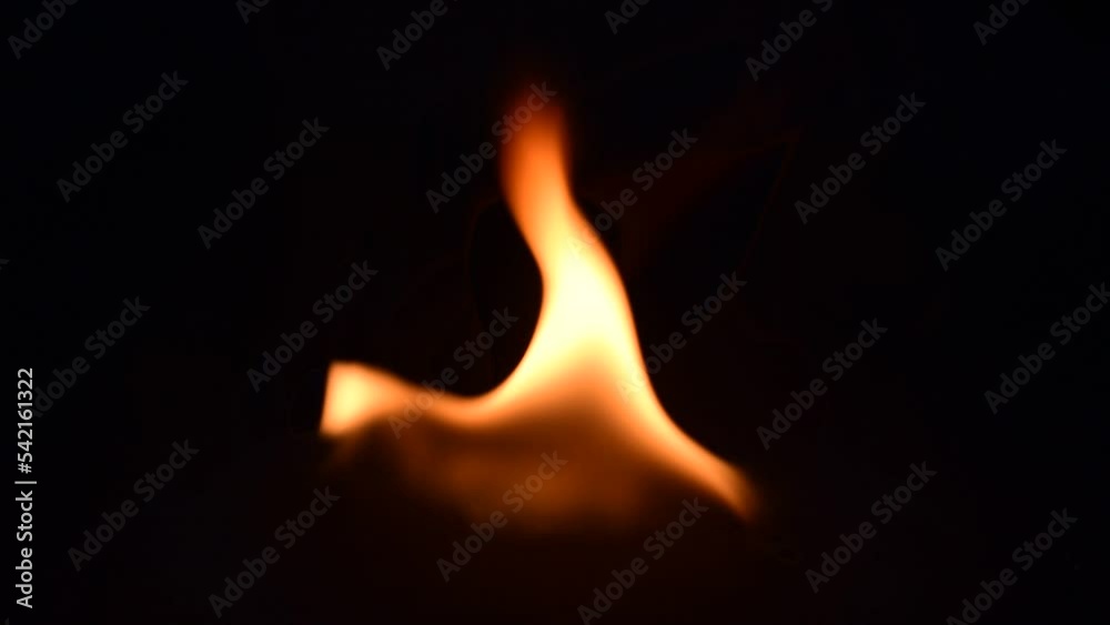 A burning flame shines bright in the darkness on a black background. A burning flame shines bright in the darkness on a black background.