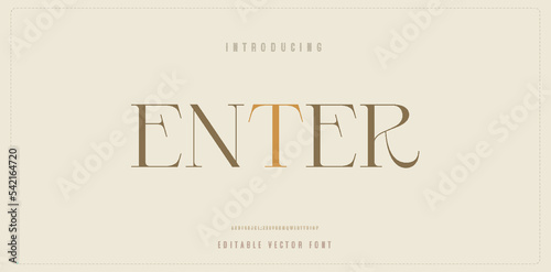 Enter text elegant alphabet letters font template. Classic Lettering Minimal Fashion Designs. Typography modern serif fonts regular decorative vintage retro concept. vector illustration