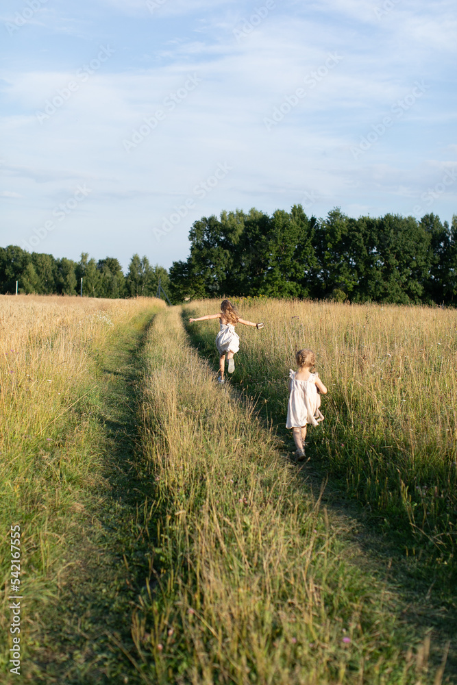 sisters play in dresses, wheat field, family walk, girls on a picnic.