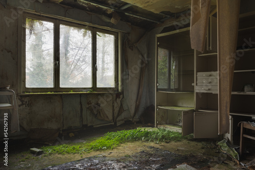 The office room where nature is taking over with a lot of mold