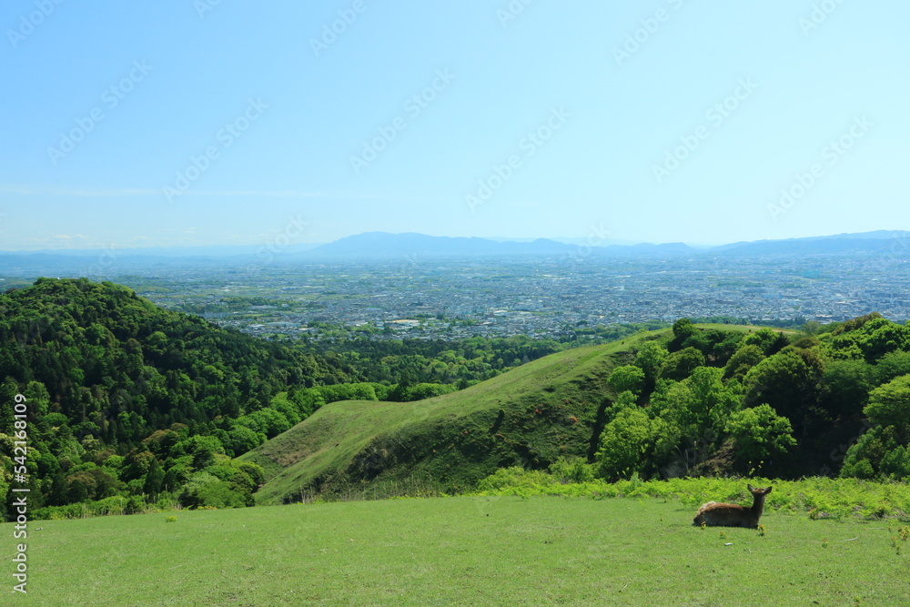 Fototapeta premium 若草山頂上からの風景