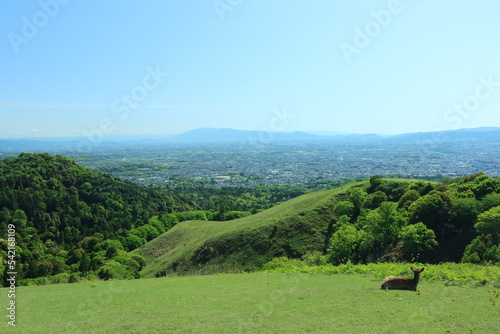 若草山頂上からの風景
