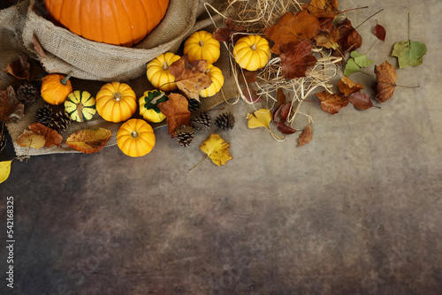 秋の背景 感謝祭やハロウィンの背景 オレンジや黄色のカボチャと落ち葉や松ぼっくりの飾り付け