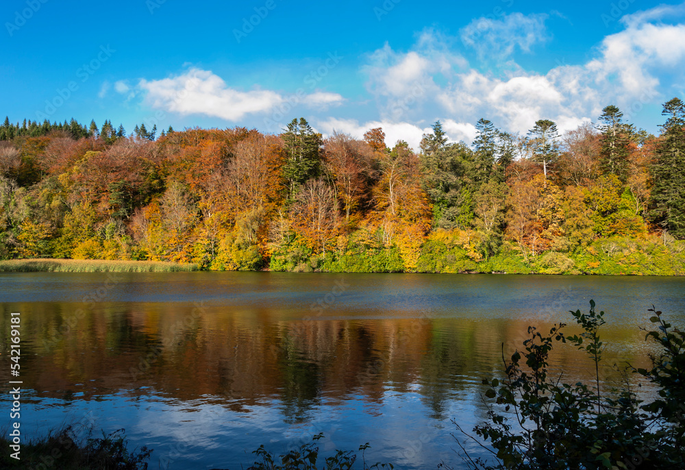 beautiful Autumn colours of the trees at Castlewellan Lake