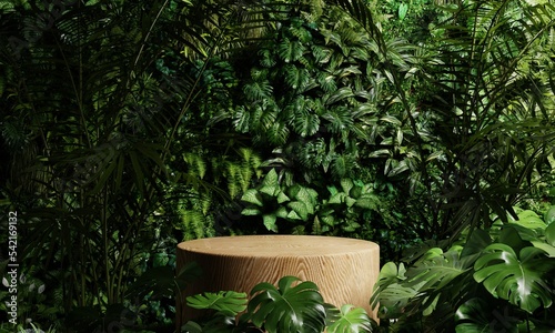 Fototapeta Naklejka Na Ścianę i Meble -  Wooden product display podium in jungle forest and sunshine shadow background. Product presentation theme. Nature and Organic cosmetic and food concept. 3D illustration rendering