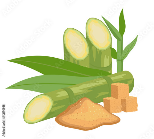 Sugar cane and brown sugar isolate on a white background. Sugarcane superfood. Stem with leaves and sugar.