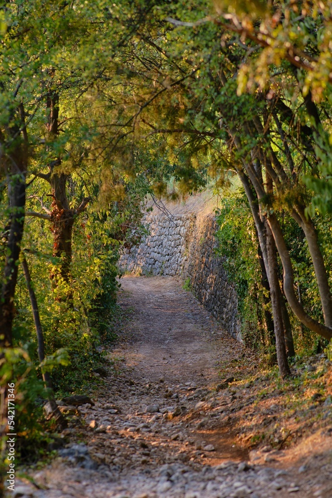 Road in a park in the historic town of Soave, Veneto, Italy