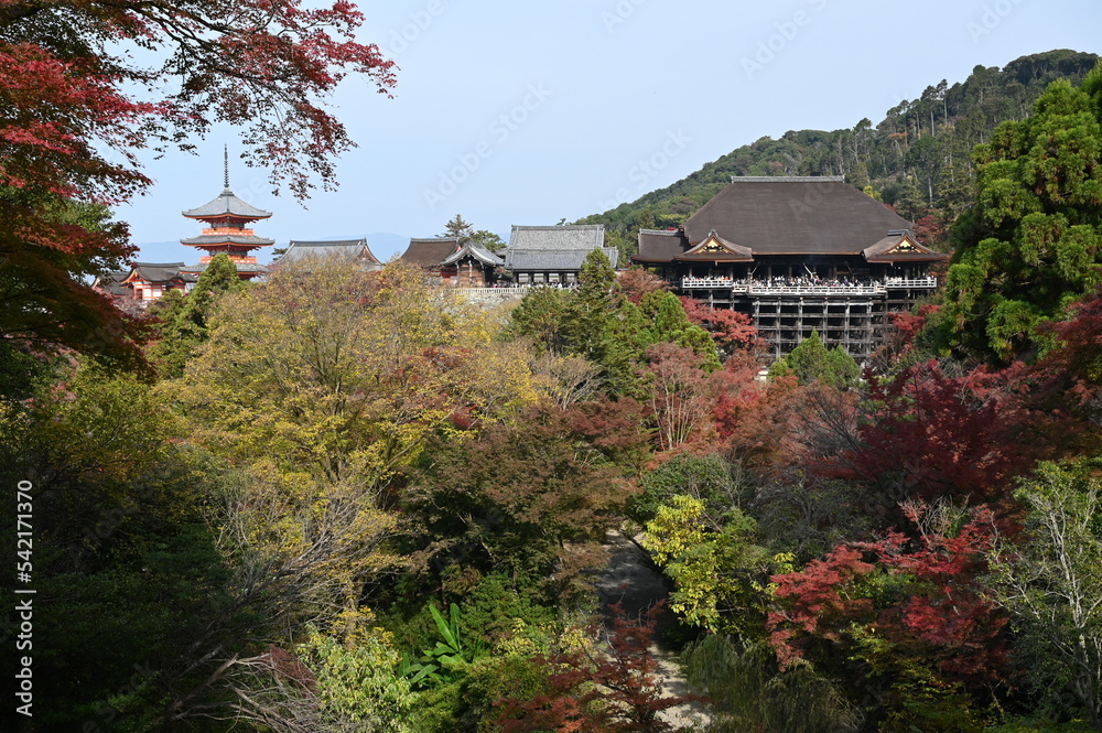 秋の京都　清水寺の紅葉の風景