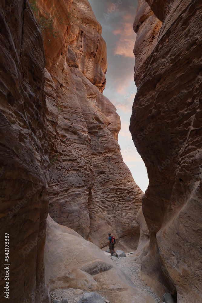 hiker with backpack walking on wadi ghuweir canyon in dana natural reserve - obrazy, fototapety, plakaty 