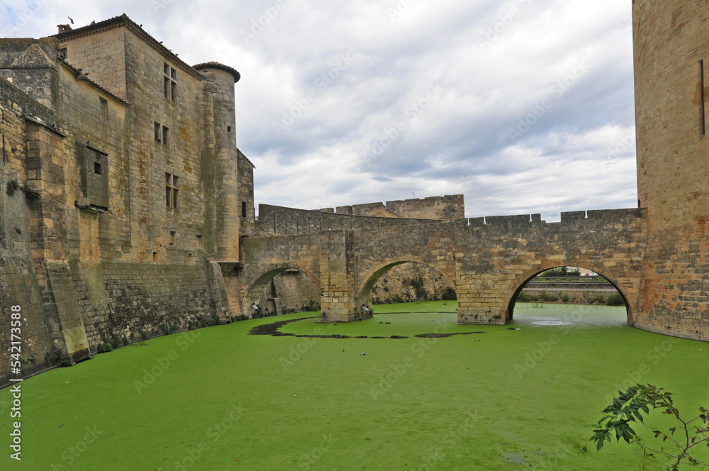 Fototapeta premium Le mura di Aigues Mortes – la Città Fortezza della Camargue. Francia