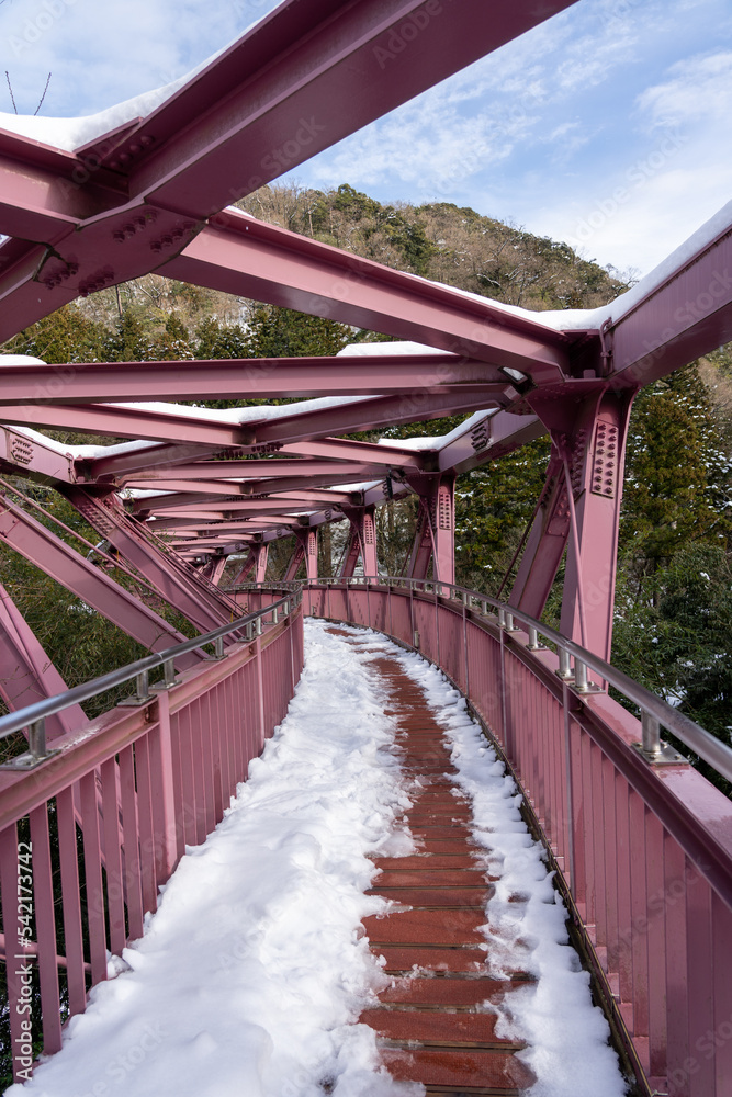 Fototapeta premium 雪の山中温泉・鶴仙渓