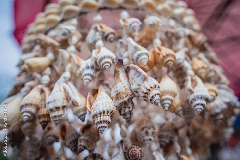 Handmade souvenir decorated with different sea shells Handmade souvenir decorated with different sea shells