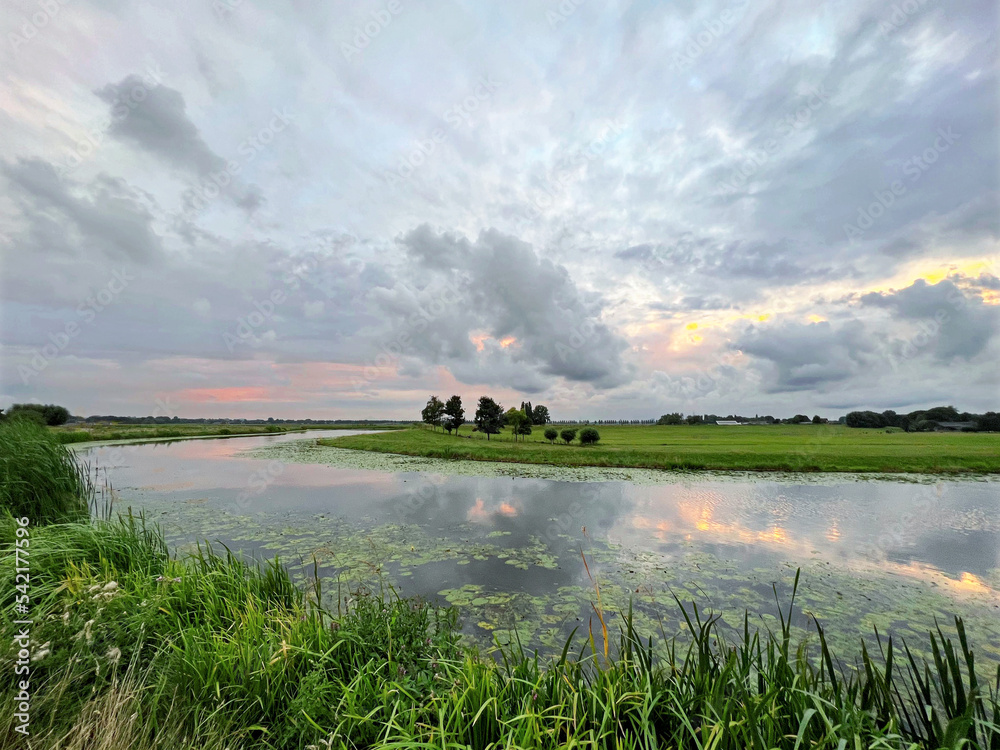 Fototapeta premium Picturesque view of river reeds and cloudy sky