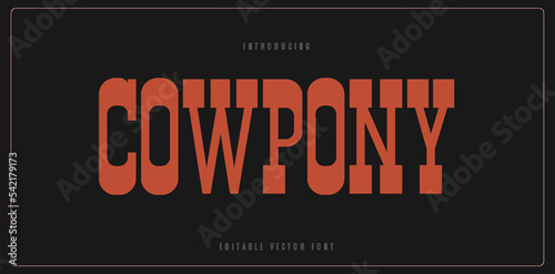 Cowpony western vintage classic alphabet letters font template. Typography elegant lettering serif fonts decorative vintage retro western cowboy concept. vector illustration 