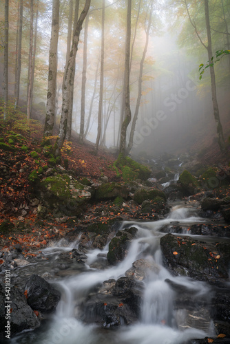 Farben des Herbstes XIV © Josef Zingg