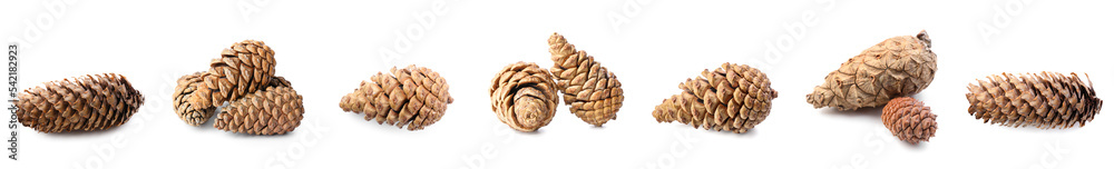 Collage of coniferous cones on white background Collage of coniferous cones on white background