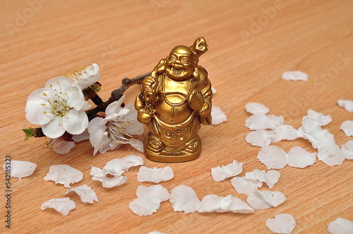 Apricot blossoms displayed with a small buddha statue