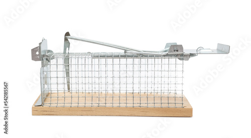 Empty mousetrap with grid on white background