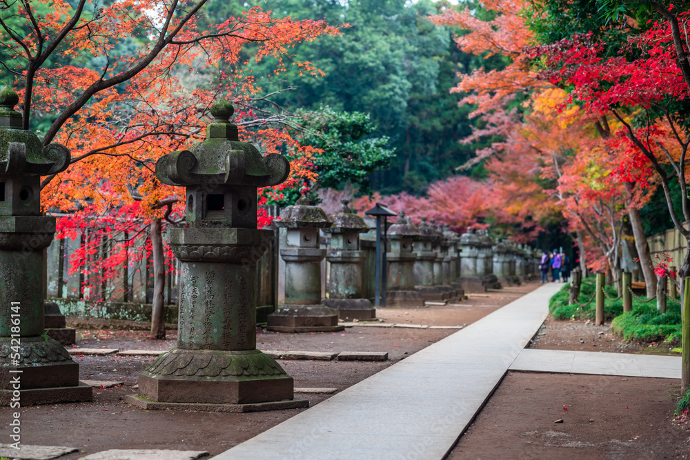 埼玉県　秋の平林寺