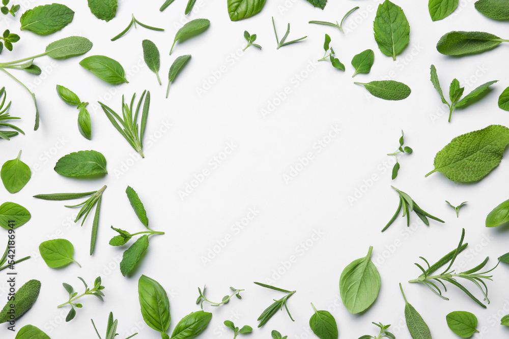Frame made with different aromatic herbs on white background, flat lay. Space for text