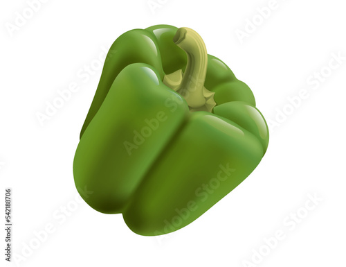 Green whole bell pepper healthy fresh vegetable vector illustration isolated on white background