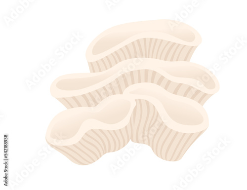 Beige coral tropical underwater sea life vector illustration isolated on white background